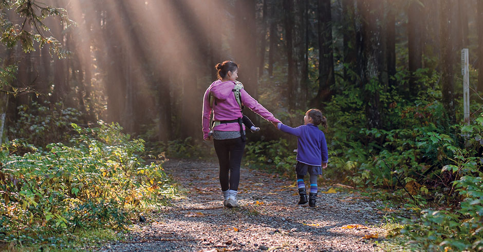 Walking thru woods banner