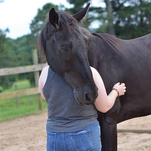 Horse rescue organization