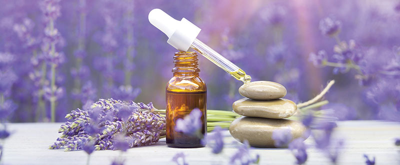 Relax and Pamper Yourself with Lavender Essential Oil