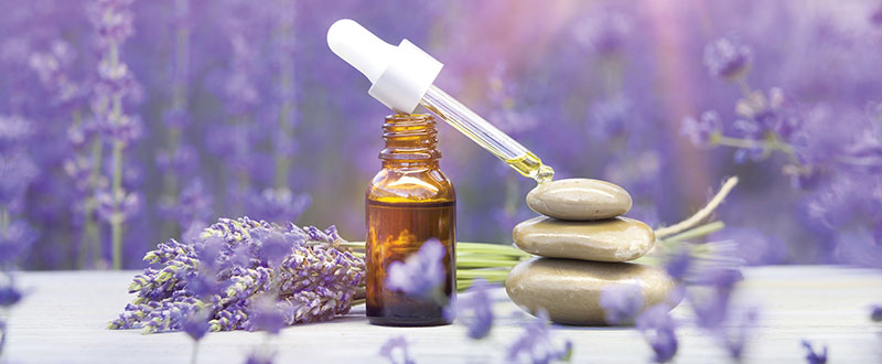 Lavender Oil